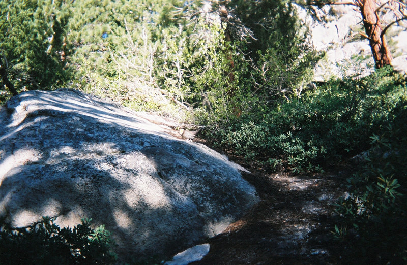 Tahoe-MtMuir-etc 016