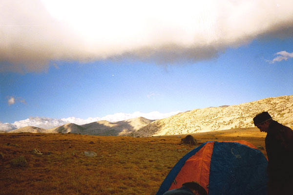 PA13371265802