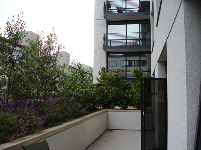 beacon-sf-moved 013