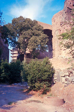 IMG0051