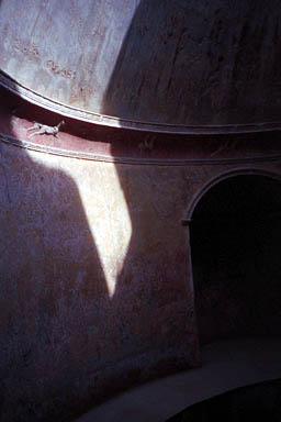 IMG0008
