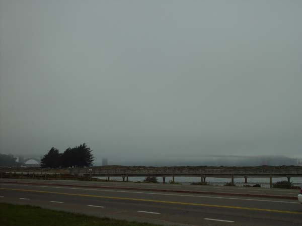 DSC01106