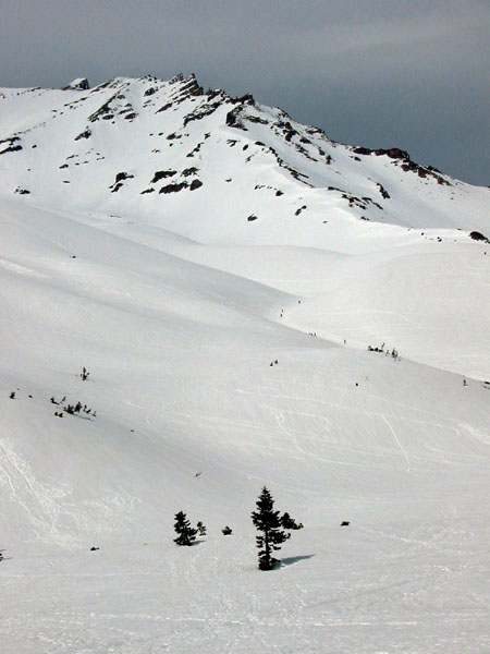 103-0345_shasta