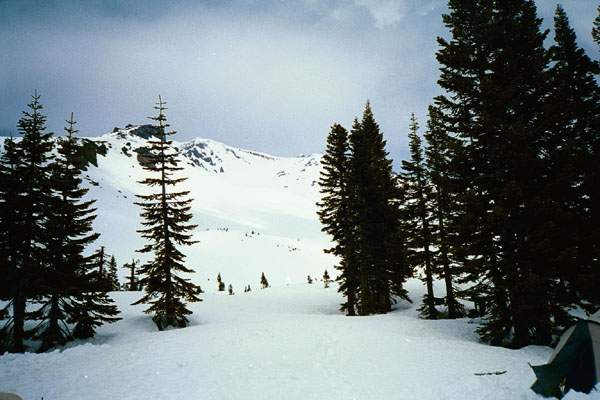 PA13371505708