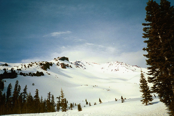 PA13371505715