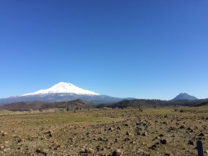 Mount Shasta showing the snowy cap - taken from the shoulder of Highway 5