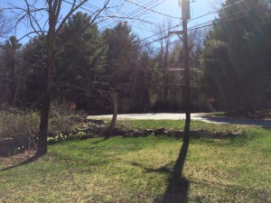 a view of the backside of the stone wall and telephone pole