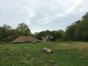 Same place, to show the difference.  I got about half of the junk cleared out between the barn, around the apple tree by the stack of telephone poles and the stone work by the old mill.  Blisters and rain stopped me for the afternoon.