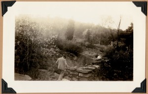 Site of Page Grist Mill on Page Brook now on French-Greenough estate