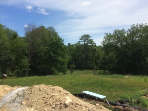 Looking out towards the Mill Race and outflow pond from the Old Saw Mill