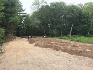 looking down the driveway